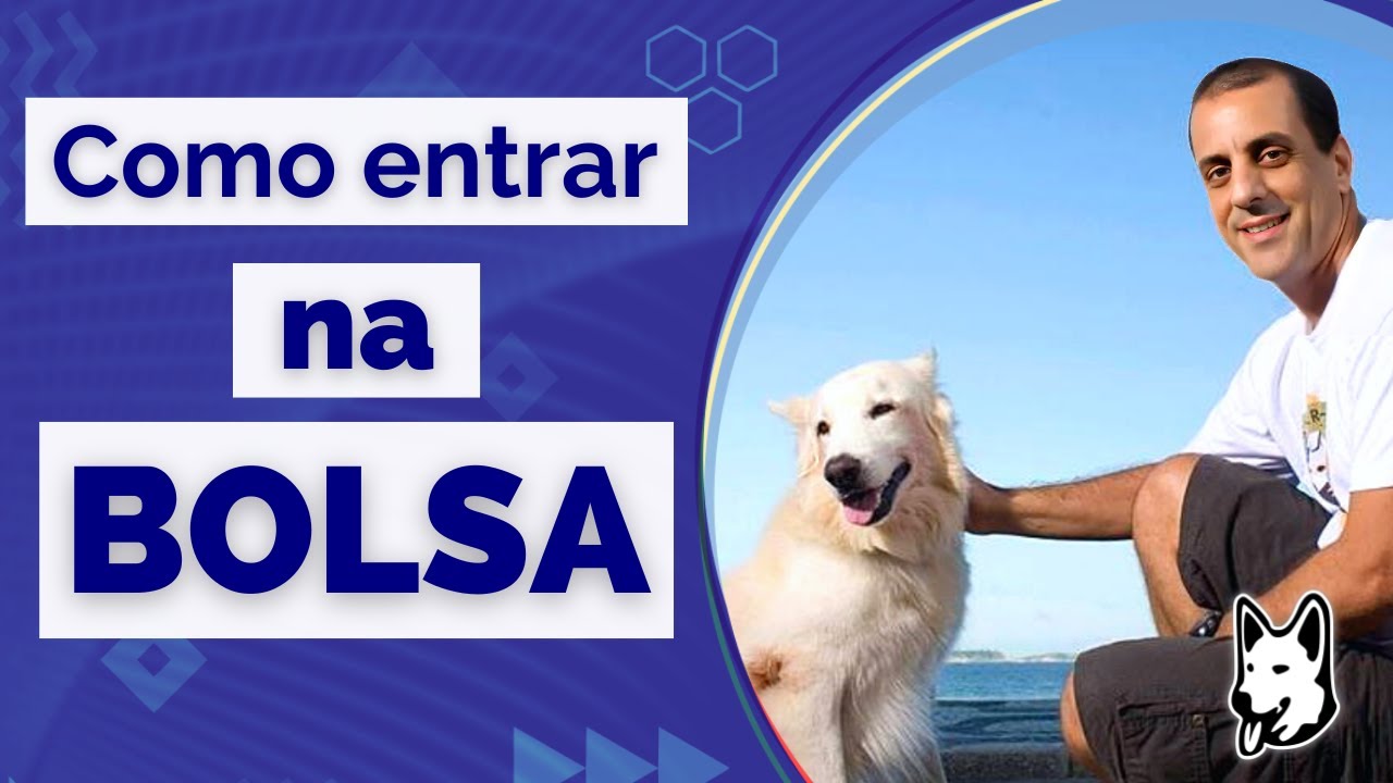 Como Entrar na Bolsa de Valores