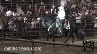 COMO PERRO CON RABIA - JOAN SEBASTIAN EN VIVO PICO RIVERA SPORT ARENA EN CALIFORNIA