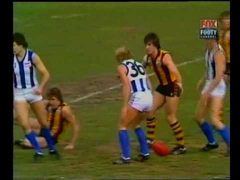 VFL R16 1982 - Hawthorn v North Melb.