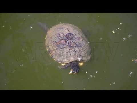 AQUA FARMING AQUA CULTURE