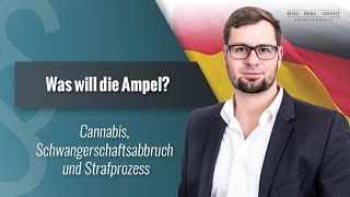 Cannabis legalisieren, Werbung für Schwangerschaftsabbrüche, Strafprozesse - das will die Ampel!