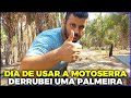 COLOQUEI A MOTOSERRA PRA TRABALHAR VIDA NO CAMPO NAZARIA PIAUÍ
