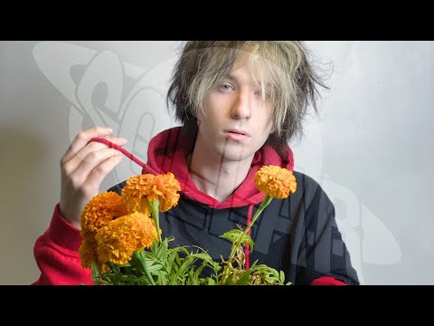 [FREE] Fats'e Midwest Emo Type Beat - 'Clarity' - Prod. Sollar