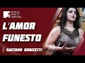 L'amor funesto (Gaetano Donizetti)