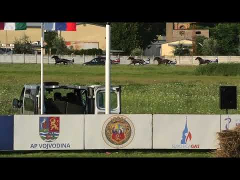 Trka"Dužijanca 2018-Finale" 29 07 2018 Pablo Yet (IT)-Dejan Katanić