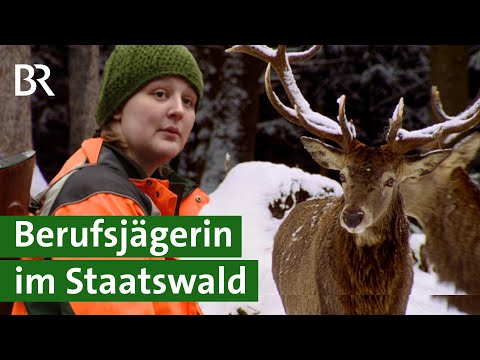 Kampf gegen Wildschäden im Spessart | Bayerns erste Berufsjägerin im Einsatz | Unser Land | BR