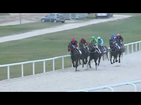 2022.11.27. 09. futam - VISZONTLÁTÁSRA HENDIKEP (III.o.) (szintetikus pálya)