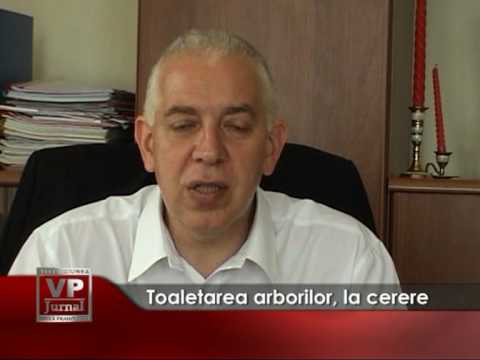 Toaletarea arborilor, la cerere