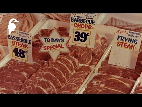 Geelong (1966) | Life in Australia Series | 4K Restoration