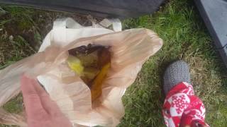 You threw away WHAT?! Untrash your food!