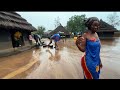 Heavy Rain In An African Traditional Homestead A Very Beautiful Rainy Day In Our African Village