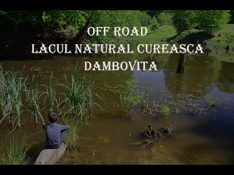 Lacul Natural Cureasca, Valeni, Dambovita🌳🦅🌞🐍🐟
