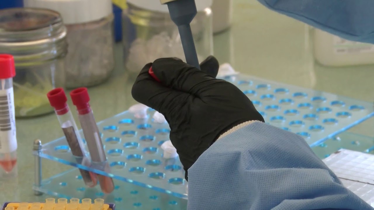 Цените на PCR тестовете в Хасково започнаха да падат