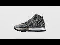 Introducing The LeBron 17 Nike