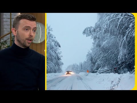 Väder-Lasse: ”Ge er inte ut om ni bytt till sommardäck!” | Nyhetsmorgon | TV4 & TV4 Play