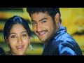 Cheema Cheema Full Video Song 5 1 Dolby Atmos Audio Simhadri Movie Jr NTR