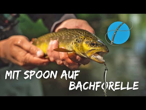 Biss auf Biss im Naturbach - Mit Spoon auf Bachforellen (+ GEWINNSPIEL)