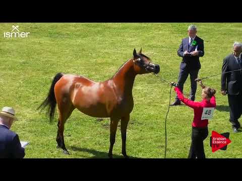 Strohen 2018 C Show - Class 10