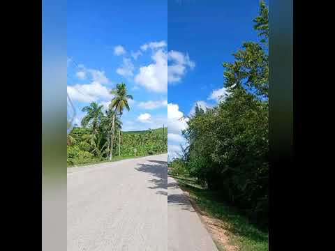 Carretera Guardalavaca a Banes, Holguín, Cuba.#travel #calle#naturaleza #turismo