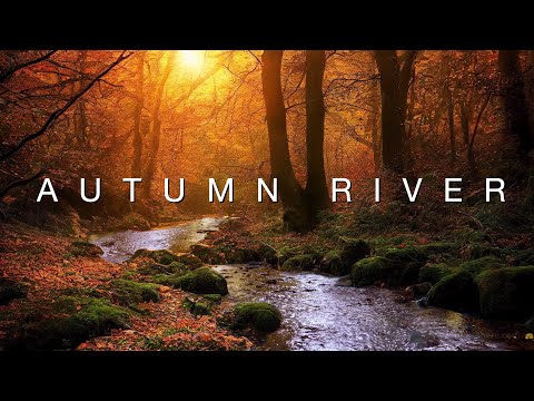 Autumn River - 3 hours of water flowing, lapping - relaxing fall nature ambience
