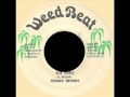 Dennis Brown - The Spirit (WEED BEAT) 7.wmv