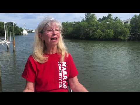 MCT Auditions Promo 2019-2020 Season