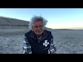 De Zoekmachine - Zeehonden