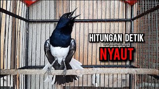 Download lagu kacer gacor NGEPLONG tarung ini paling ampuh buat PANCINGAN KACER agar EMOSI NYAUT mp3 Download lagu kacer gacor NGEPLONG tarung ini paling ampuh buat PANCINGAN KACER agar EMOSI NYAUT mp3