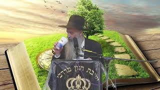הרב מאיר דוד שמואלי -  החיים הם התורה!