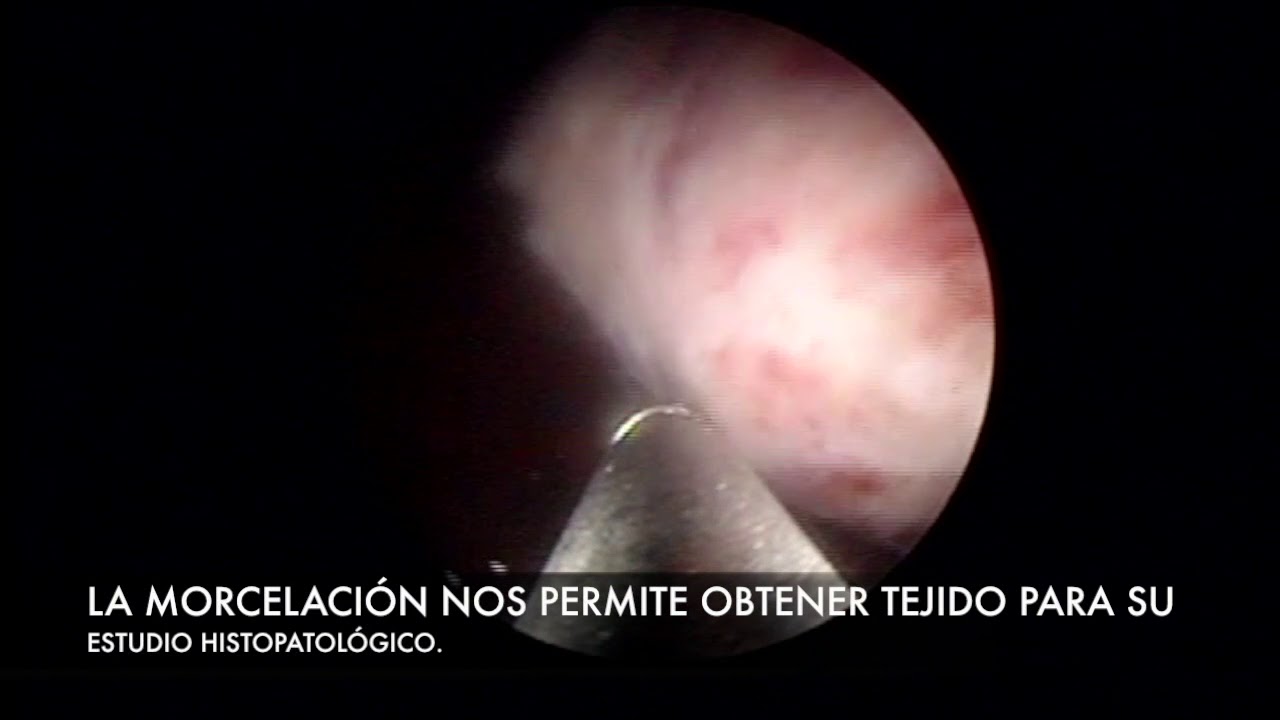 Francisco Gómez Regalado-12