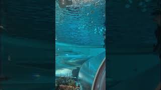 【釜山】国立海洋博物館