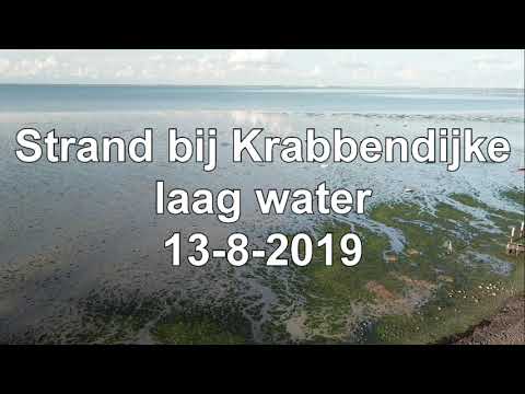Strand Krabbendijke