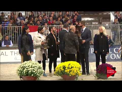 BRONZO N.152 MELODY J - Verona 2017 - Junior Fillies Championship (Class 15)