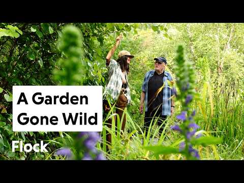 His GARDEN Breaks All Gardening Conventions — Ep. 354