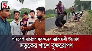 Download lagu মুরাদনগরে পরিবেশ বাঁচাতে যুবকদের ব্যতিক্রমী উদ্যোগ, সড়কের পাশে বৃক্ষরোপণ | Channel S mp3