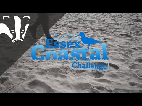 The Essex Coastal Challenge