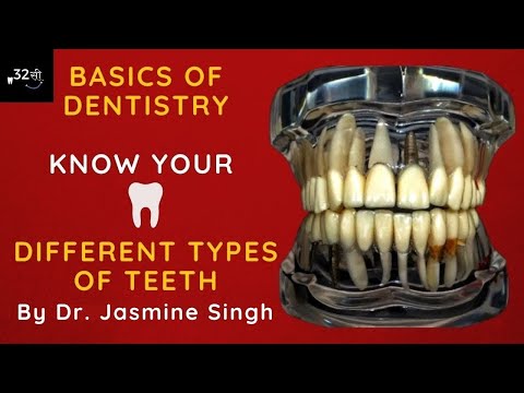 Human Teeth | Basics of Dentistry | Basic Dental Terminology - By Dr. Jasmine Singh I Hindi