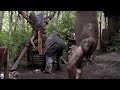 Wrong Turn 2 Killing Scenes Anything Interesting