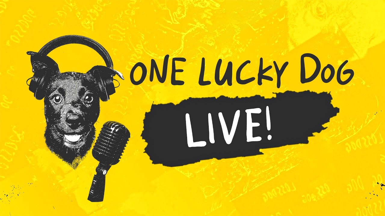 Riding the Wall of Worry & Career-Maxing | 04.20 One Lucky Dog LIVE!