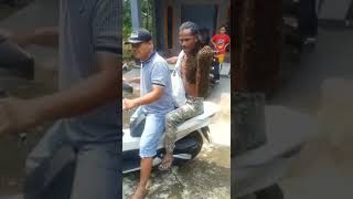 Download lagu Pawang lebah atau tawon mp3