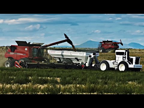 They Broke, All Of Them! 