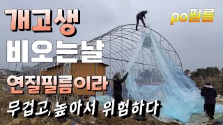 겨울비 오는날 비닐 씌우기 ^^개고생  po필름 (연질필름) #Vinyl House Construction