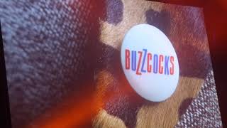 Buzzcocks feat. Pauline Murray - Love You More - Royal Albert Hall, London, 21/6/19