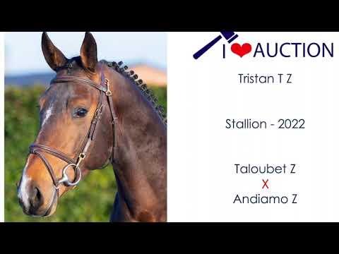 Tristan T Z Movements