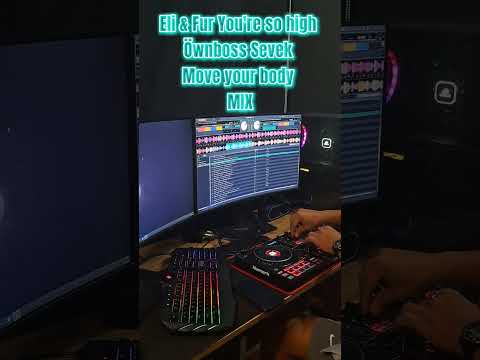 Eli & Fur You're so high - Öwnboss sevek Move your body Mix