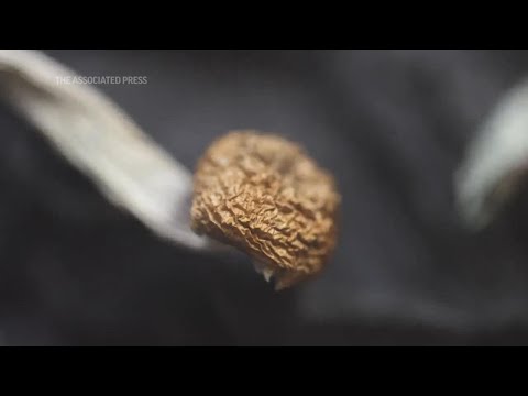 Inside Oregon's new magic mushroom industry
