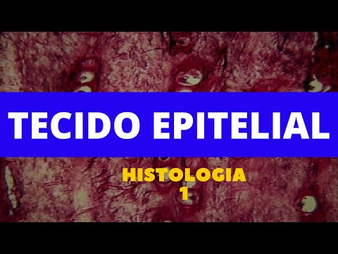 TECIDO EPITELIAL - HISTOLOGIA 1