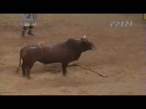 Charles Litchfield vs Whistle Stop - 99 PBR Finals (88.5 pts)