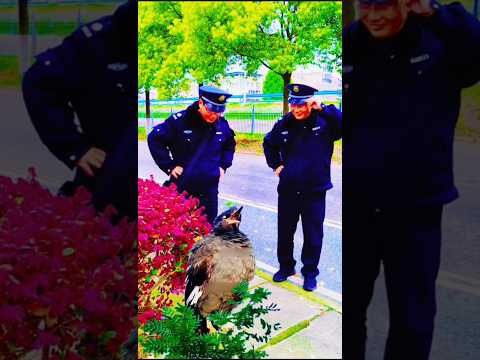 surah quran Tilawat #viral #funny #youtubeshorts #reels #viral