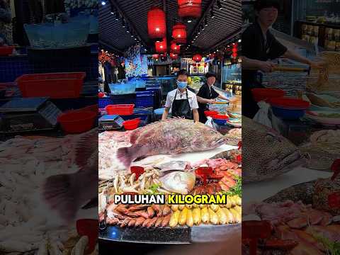 Kerapu Raksasa, Makanan Laut yang Mewah! 🤤